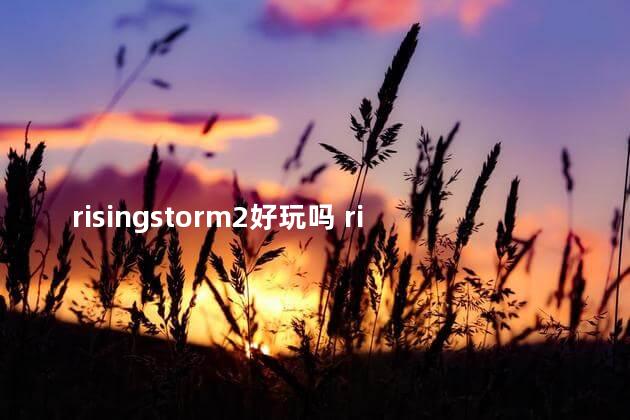 risingstorm2好玩吗 risingstorm